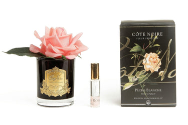 Single Rose - Black Glass - White Peach - GMRB05 (Carton of 4)